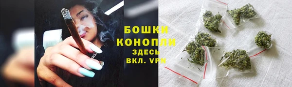 крисы Елизово
