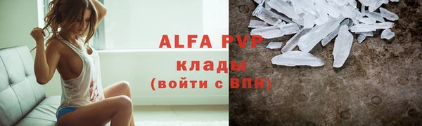 мет Ельня