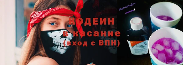 крисы Елизово
