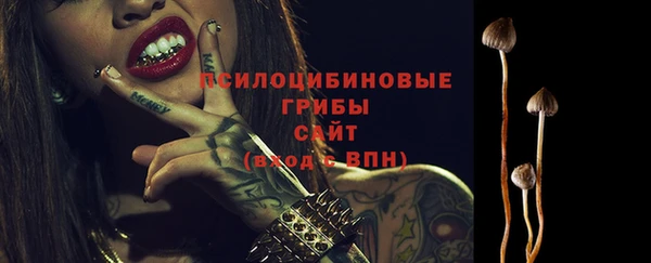 Альфа ПВП Елабуга