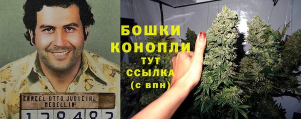 Альфа ПВП Елабуга