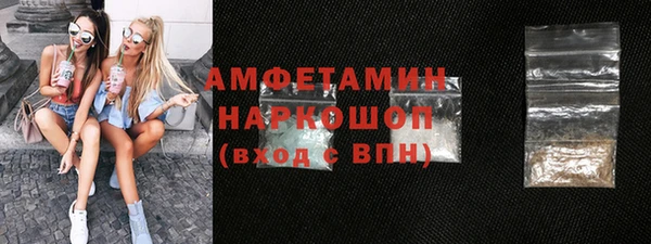 мет Ельня