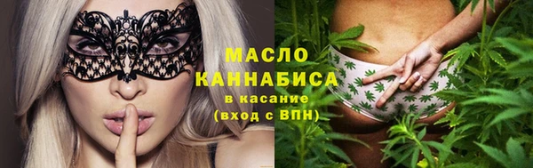 мет Ельня