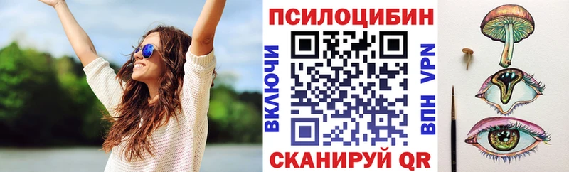 Галлюциногенные грибы мухоморы  Купить где  Купино 