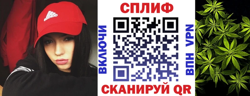 Купить где  Купино  Бошки марихуана семена 